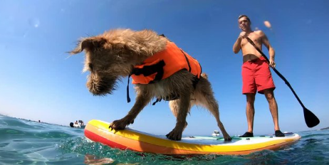 スクリーンショット (281)