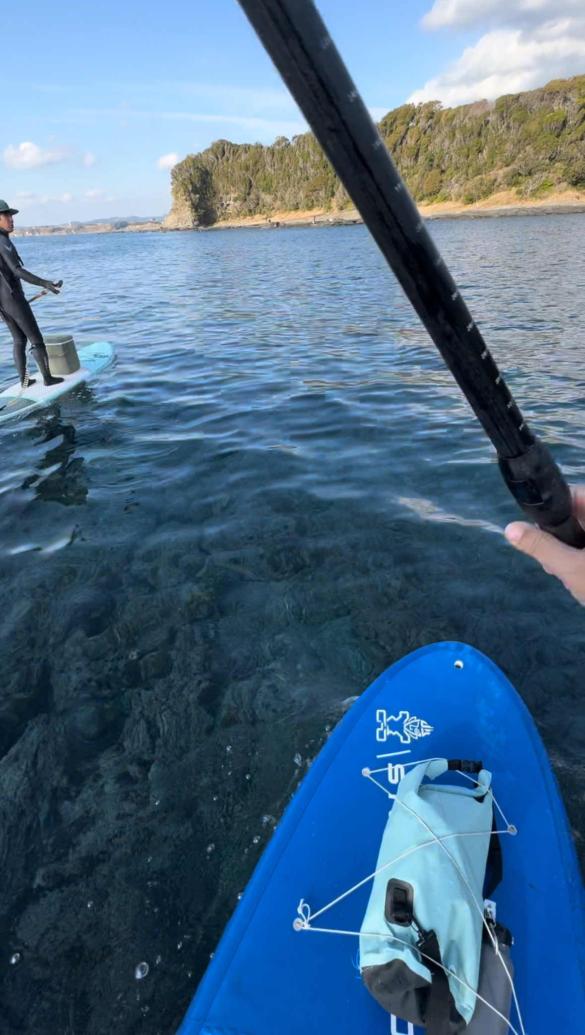 D21E4163-2A84-45A3-A547-0744953E72F2