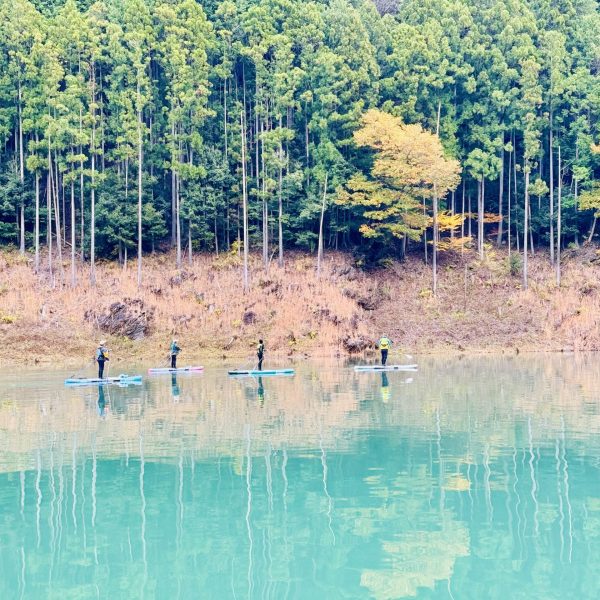 A13DCC85-5344-412D-BCD4-8E73A7249390